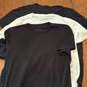 All Saints T-Shirt Bundle- large